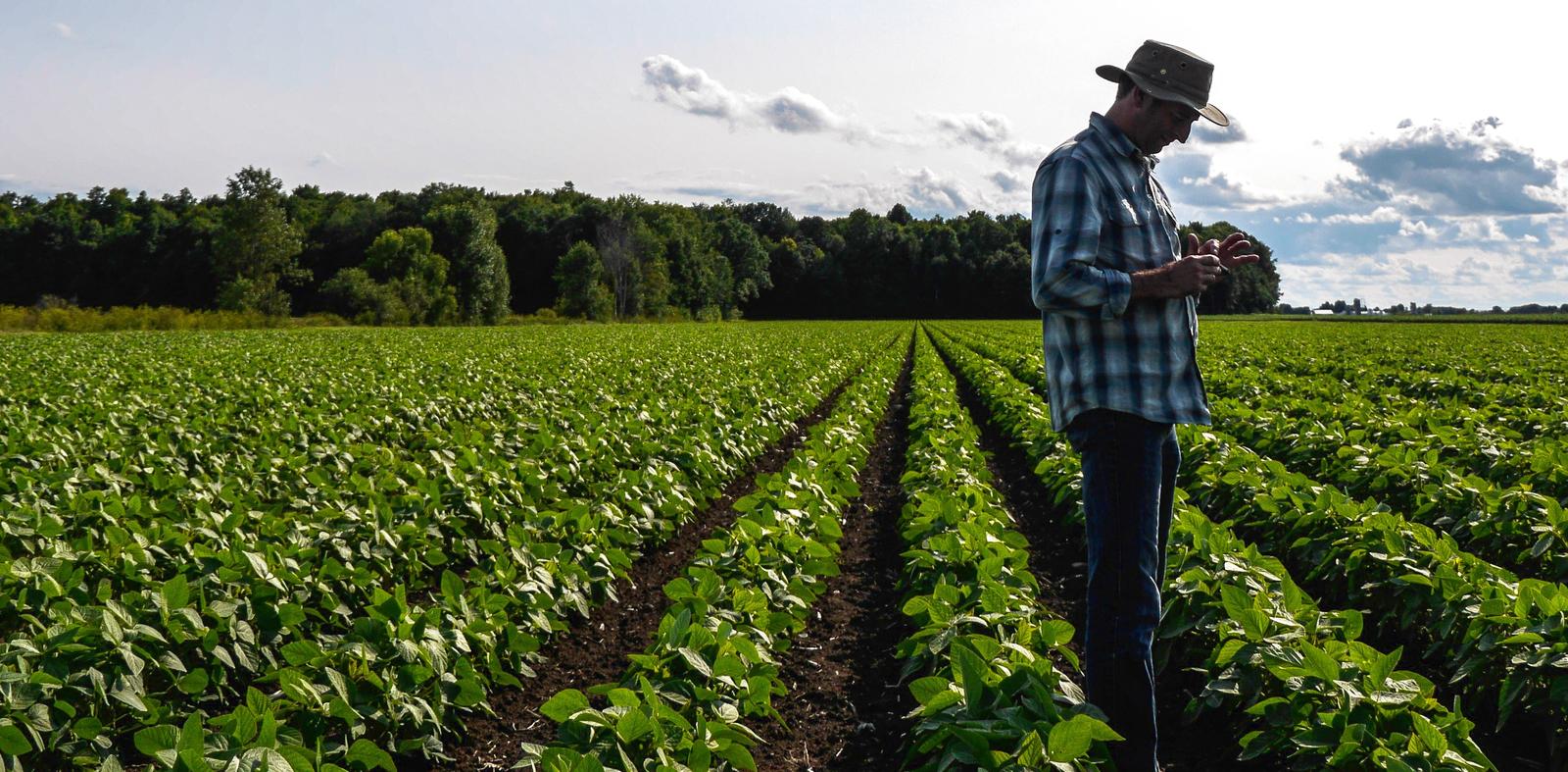 CETAB+ | Centre D'expertise Et De Transfert En Agriculture Biologique ...